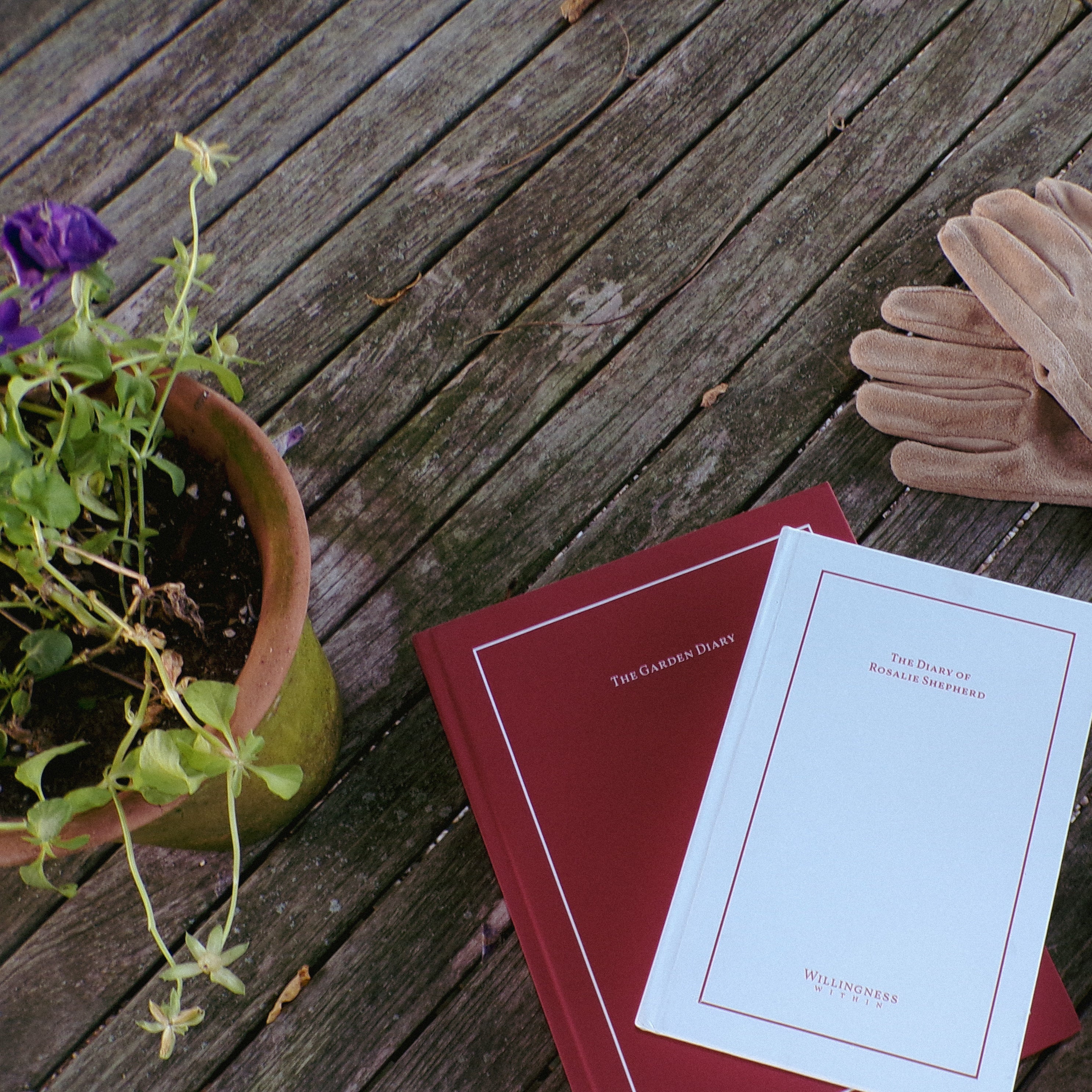 The Diary of Rosalie Shepherd