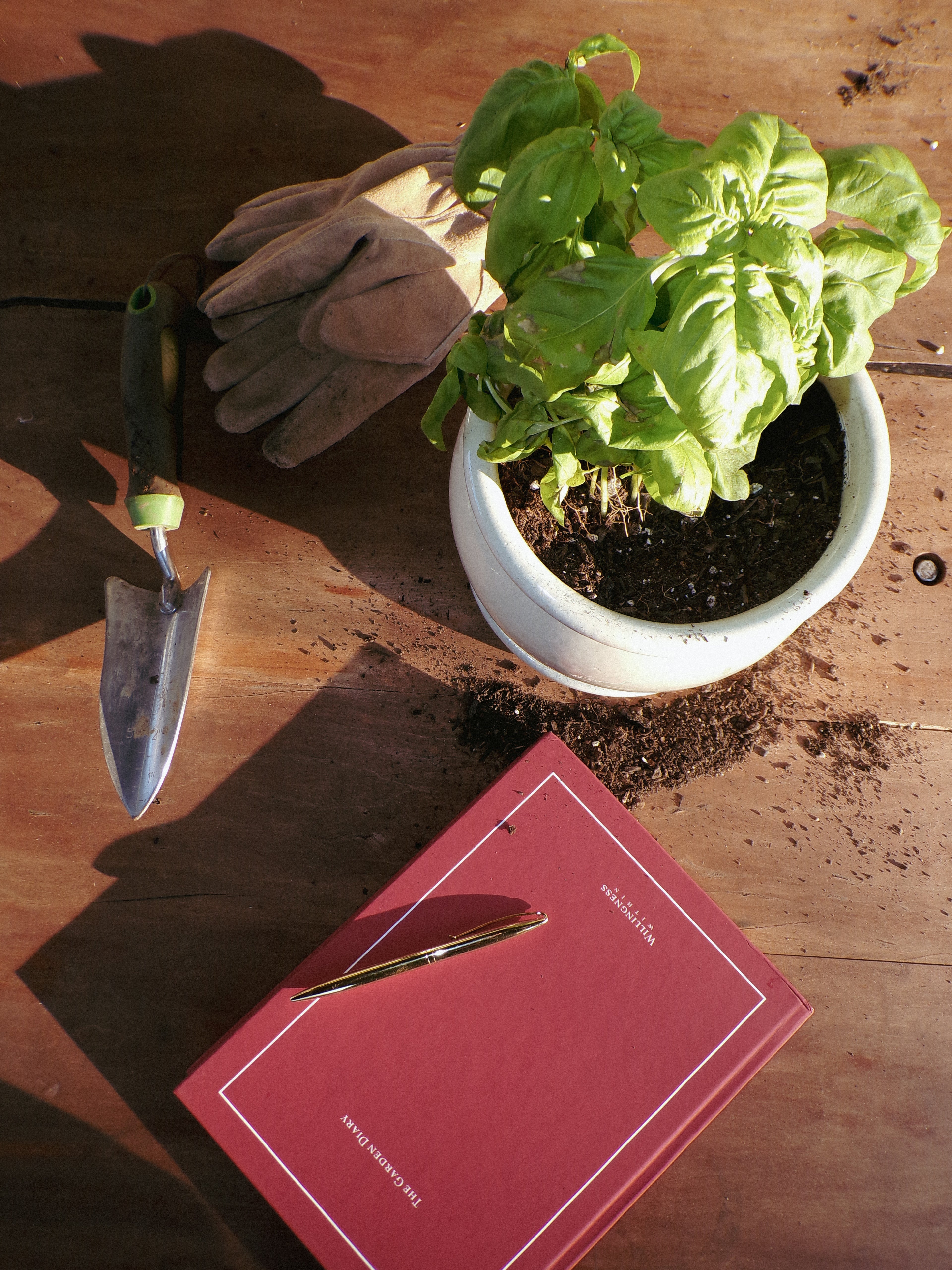The Garden Diary